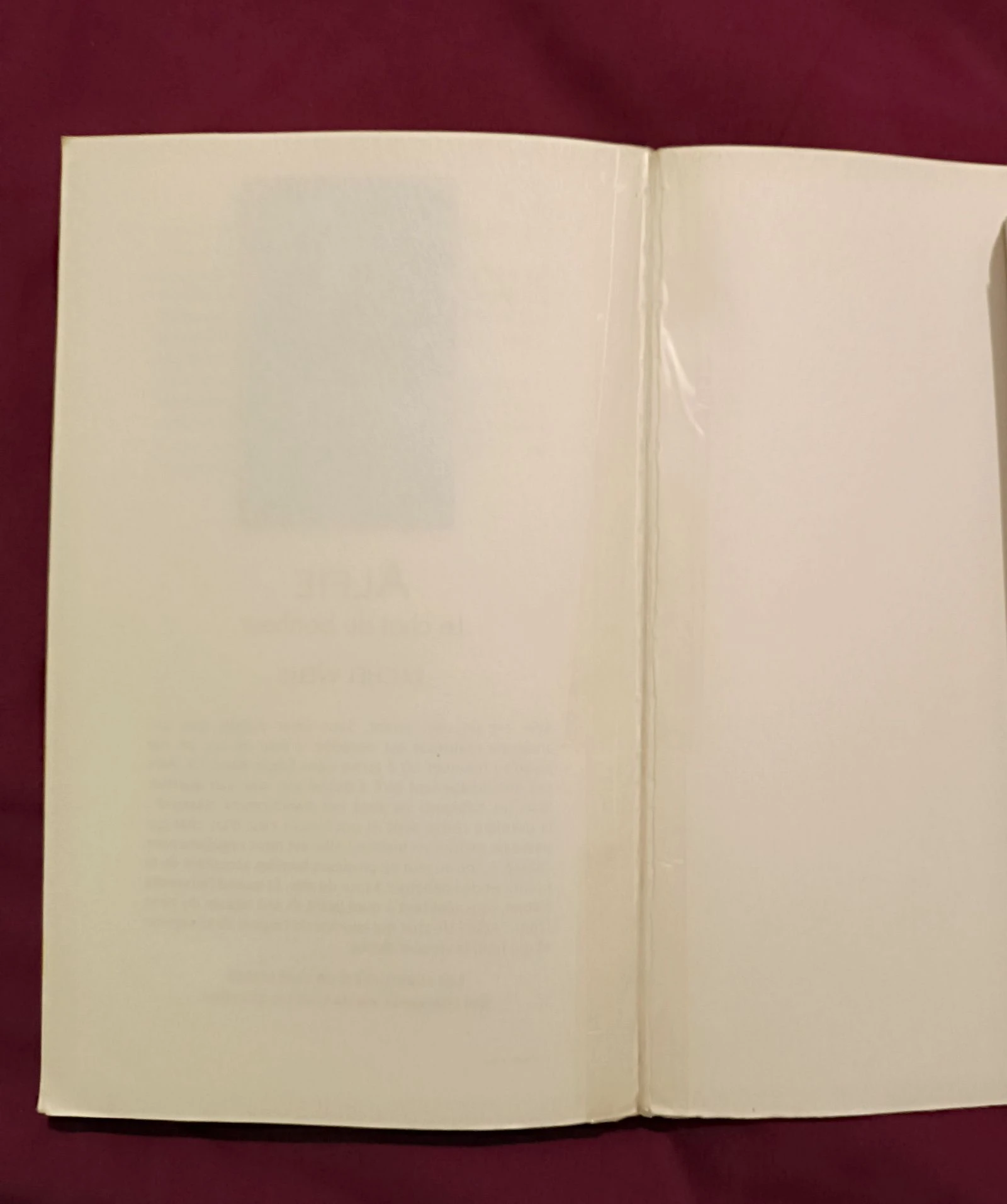 Book Alfie a friend for life – photo 3